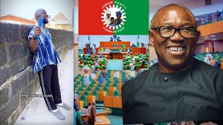 They used Peter Obi House of Representatives members used Peter Obi as ladder and then dump [upl. by Acinod]