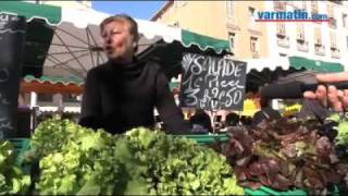 les salades de Jeannine  les platanes du cours Lafayette C [upl. by Noreik983]