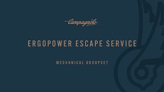 COMPLETE REVISION OF CAMPAGNOLO ERGOPOWER ESCAPE [upl. by Rhoda]