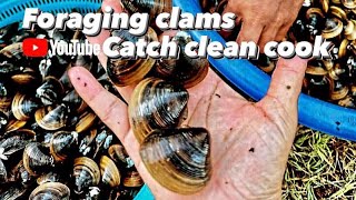 foraging clam Modesto reservoir catch clean cook 101 [upl. by Rexer77]