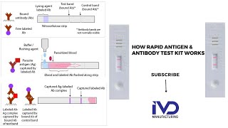 Rapid Diagnostic Tests RDTs Principle Schematic 3D Diagram PartsLateral Flow AssayIVD KITS [upl. by Analla739]