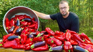 AJVAR  Zimnica od paprika i patlidžana Supruga pomogla [upl. by Gignac]