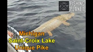 Fishing Planet Michigan SaintCroix Lake  Unique Northern Pike [upl. by Verdha361]