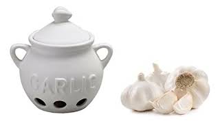 Top 5 Best Garlic Keeper Reviews in 2023 [upl. by Sapienza]