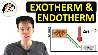 Exotherme amp Endotherme Reaktionen – Grundlagen  NEU [upl. by Octavus]