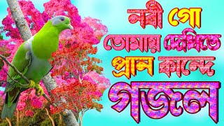 মোদের এতো আপন বাসো ভালো মনের মতো  নবীজির প্রেমের গজল New Bangla NaateRasool Islamic Gajal [upl. by Cyrie]