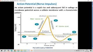 Easy Explanation of Action Potential for Drugs Acting on CNS for DPharmacy DPEE 2024 Preparation [upl. by Lirpa]