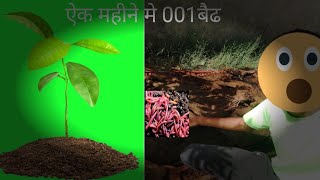 Vermicompost And Vermicompost ka banifit [upl. by Neelcaj]