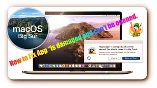 Error on Mac OS Big Sur How to Fix App“is damaged and can’t be opened move it to Trashquot  adobe zii [upl. by Turley]