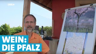 Werner erklärt Wein Die Pfalz [upl. by Haleemaj581]