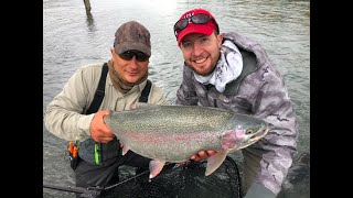 MASSSIVE 10 lb Rainbow Trout Kenai River ALASKA [upl. by Bronny]