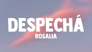 DESPECHÁ  Rosalia Lyrics Version [upl. by Nivej]