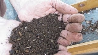 Lawn clippings amp tree mulch compost making [upl. by Ecinej]