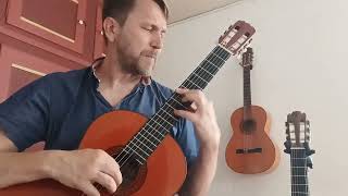 B72 Largo 2nd Movement from Vivaldis Guitar Concerto in D [upl. by Ettenyar]