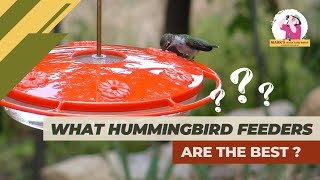 Unveiling the Best Hummingbird Feeder Options [upl. by Lj]