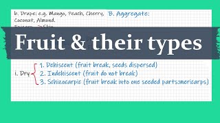 Fruit and their types Detailed  Angiosperm External Morphology  NEET BSc amp MSc [upl. by Ettevad]