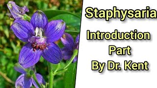 Staphysagria  Introduction By Dr Kent [upl. by Ayerdna]