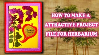 How to make a Herbarium project file  Attractive Project File for Herbarium [upl. by Jorey]