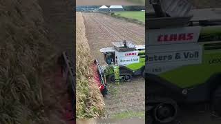 CLAAS село сельскоехозяйство мтз деревня трактор farming агро youtube [upl. by Christiana]