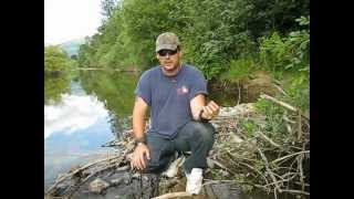 Crawdad amp Minnow Trap Test and How To [upl. by Ferullo939]