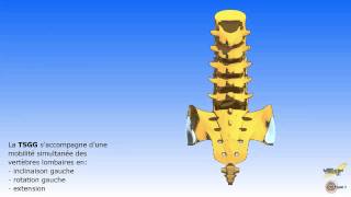 Les mouvements associés du sacrum et du rachis lombaire [upl. by Acinyt]