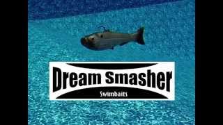 Dream Smasher Swimbait 6quot shad swimming pool [upl. by Klayman]