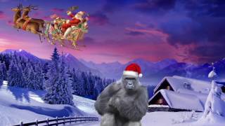 Christmas With Harambe [upl. by Anelra]