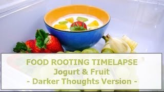 Food rotting timelapse  Yogurt and fruit  Darker thoughts version [upl. by Victory]