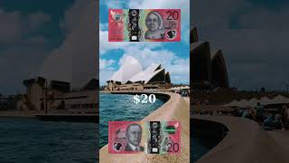 Australian dollar overview banknotes shorts money currency AUD shortsviral shortsyoutube [upl. by Limann824]