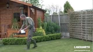 How to Over Seed a Lawn after Raking or Scarifying [upl. by Richie]