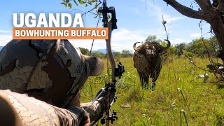 Bowhunting Buffalo Craziest and wildest hunt I have experienced in Africa [upl. by Isiad]