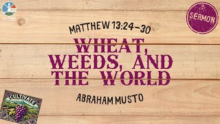 Wheat Weeds and the World [upl. by Alletsirhc67]