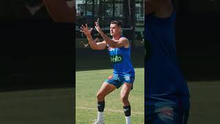 Who will replace Kalyn Ponga as Newcastle Knights fullback [upl. by Ahsirtal98]