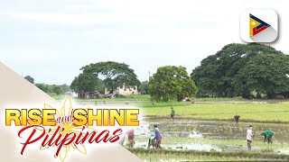 2022 Census of Agriculture and Fisheries inilunsad ng DA [upl. by Tavy]