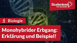 Monohybrider Erbgang Erklärung und Beispiel  Biologie verstehen mit dem Studienkreis [upl. by Maro414]