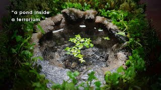 A pond inside a terrarium [upl. by Charteris77]