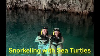 Snorkeling With Sea Turtles in Akumal amp a Cenote in Mexico [upl. by Adham136]