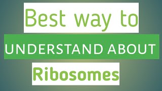 Structure and function of ribosomes cell ky ribosomes ka function [upl. by Nalak]