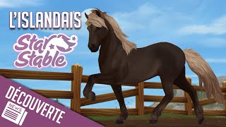 ACHAT DU CHEVAL ISLANDAIS  Star Stable  SSO [upl. by Gearhart]