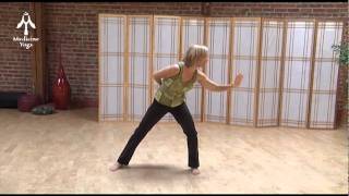 Transplant Qi Gong Practice [upl. by Norehc]