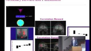 Risk The Neural Basis of Decision Making [upl. by Gnil]