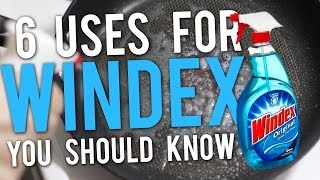 6 Uses for Windex You Should Know [upl. by Newo865]