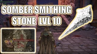 Elden Ring SOMBER SMITHING STONE LVL 10  Somber Ancient Dragon Smithing Stone  Location 1 [upl. by Eirahs137]