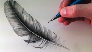 How to Draw a Feather [upl. by Kcirrek]