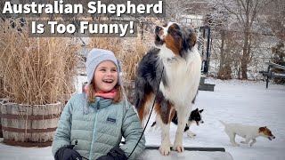 Having A Conversation With An Australian Shepherd [upl. by Ailil]