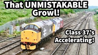 That UNMISTAKEABLE Growl as CLASS 37s Accelerate [upl. by Specht]