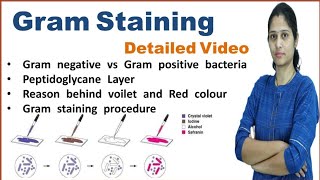 Gram Staining  Principle and procedure  Microbiology [upl. by Myrt]