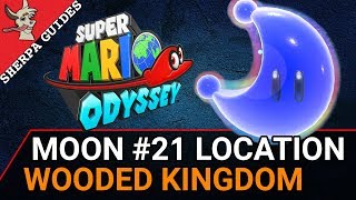 Wooded Kingdom Moon 21 Love in the Forest Ruins Location  Super Mario Odyssey [upl. by Ahsikahs]