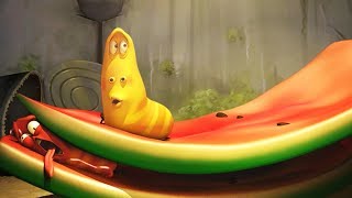 LARVA  WATERMELON  2017 Cartoon Movie  Videos For Kids  Kids TV Shows Full Episodes [upl. by Einnok]