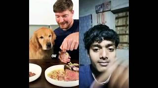 Feeding A Dog  1 Vs 10000 Steak mrbeast reaction ashortaday trending shorts [upl. by Eatnuahs]